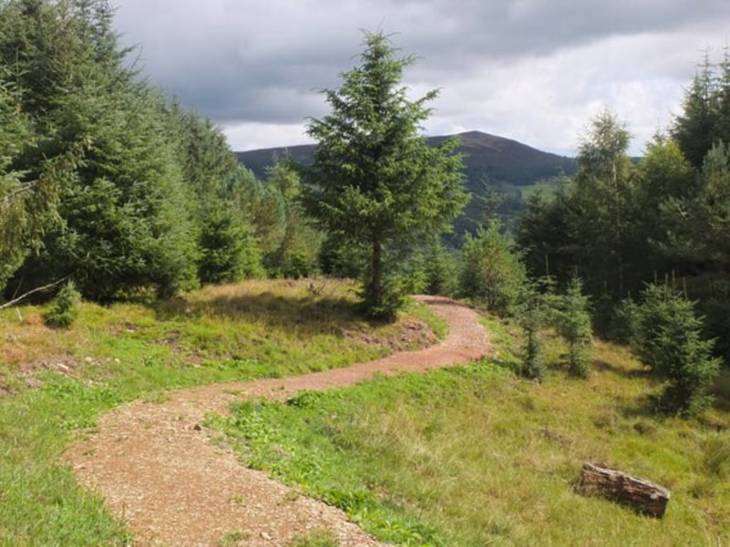 Located close to Peebles, this trail is approximately an hour from Edinburgh but well worth it. There are four paths to choose from ranging from a casual 0.3km trek to one that is almost 7km. Here, aside from a range of birds, it is also said that red squirrels roam nearby.