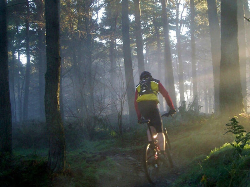Located close to Peebles, so it is a fair distance away from Edinburgh, Glentress Forest is a worthwhile visit. It is beloved for its many trails including the 7 Stanes mountain bike trails, Ponds Trail and Tower Trail - all of which offer something unique to the other.