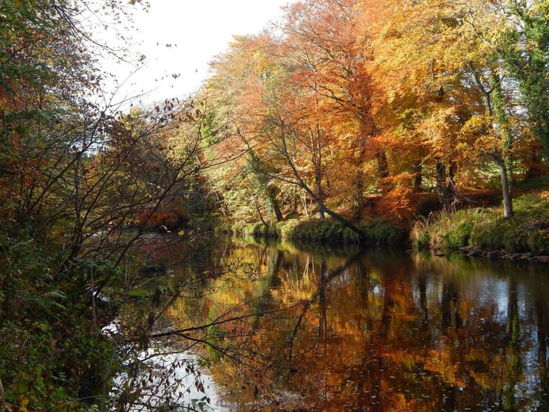 This trail is only half an hour away from the city by car, yet once you start walking you feel like you’re fully removed from the urban jungle and have entered a countryside dream. Nature enthusiasts will enjoy the variety of trees including oak, sycamore and beech.