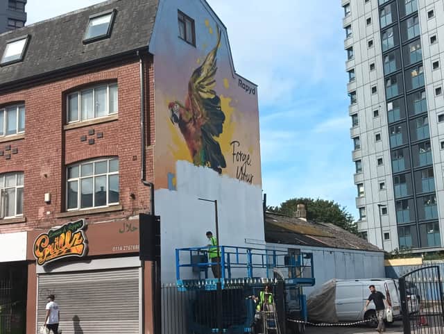 A brightly-coloured mural of a parrot taking flight by street artist Peachzz on London Road has been painted over.