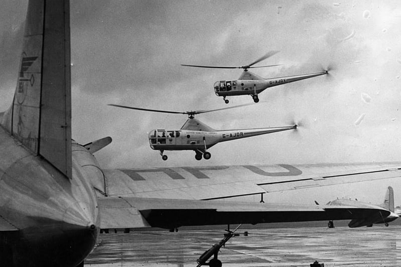 22nd May 1951:  Westland Sikorsky H-5’s, used by British European Airways Helicopters, which fly between London and Birmingham.  (Photo by Harrison /Topical Press Agency/Getty Images)