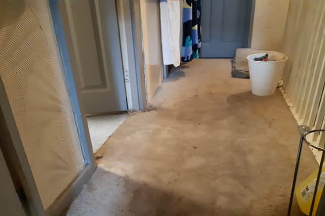The carpet in the hallway outside of the bathroom is soaked through with leaked water and waste.