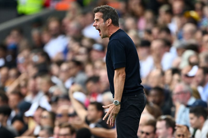 A drop down to the bottom half this season is expected for Fulham.