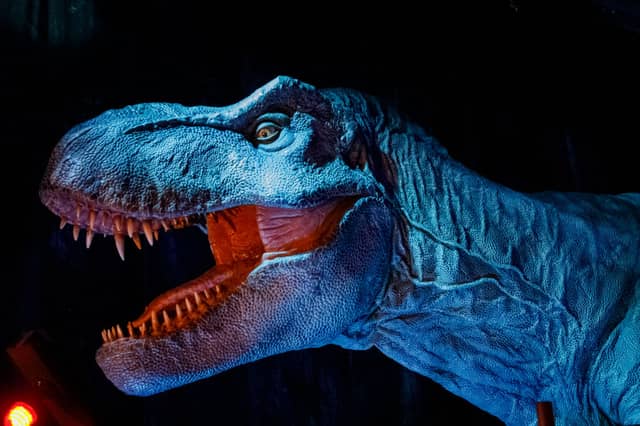 How does each Jurassic Park movie rank over the years? Cr: Getty Images