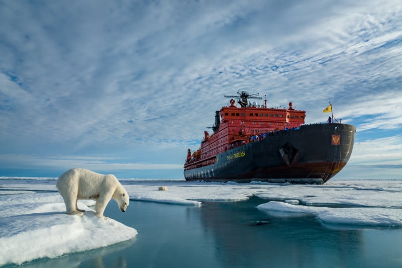 Dmitry Kokh. Ocean Photographer of the Year - A polar bear stands on sea ice, while a large expedition ship brings tourists to the area for wildlife encounters. 