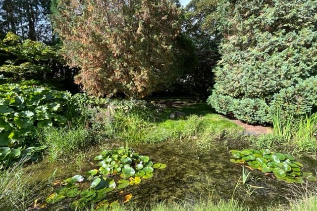 The pond at the bottom of the Humphry Repton garden is teeming with wildlife all year round.