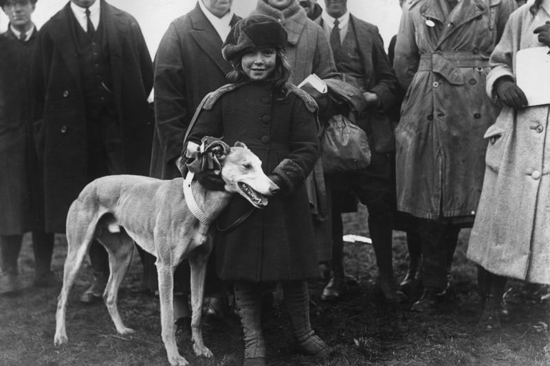 A young girl holds a greyhound, ‘Jassiona’ as she takes it to the Waterloo Cup Meeting at Altcar. 