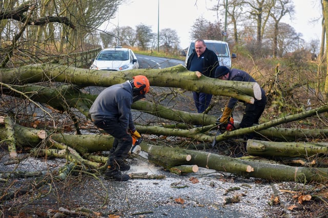 Workmen clearing a fallen tree in Lord Byrons Walk, Seaham, in 2015.