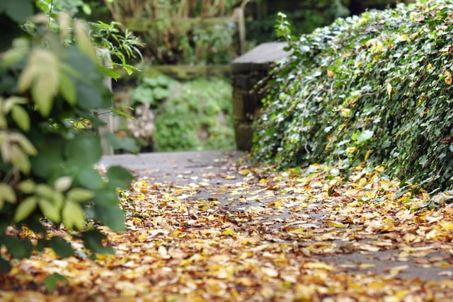 Autumn leaves on the path at Cox Green in 2007.