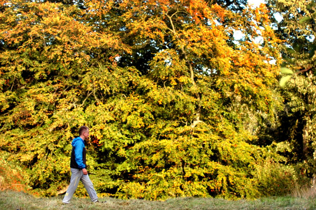 A walker enjoying the evening sunlight and early autumn colours in Sunderland's Doxford Park, in 2011.