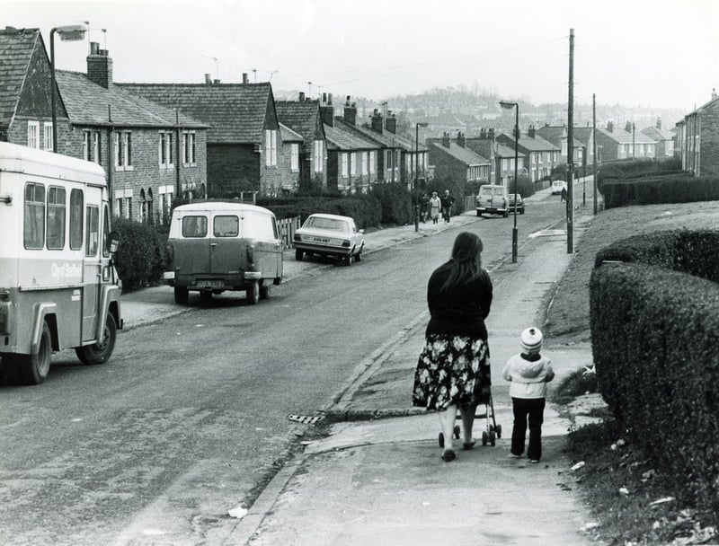 Houses on Paulet Road, on the Manor estate, Sheffield, which were due for demolition in December 1983