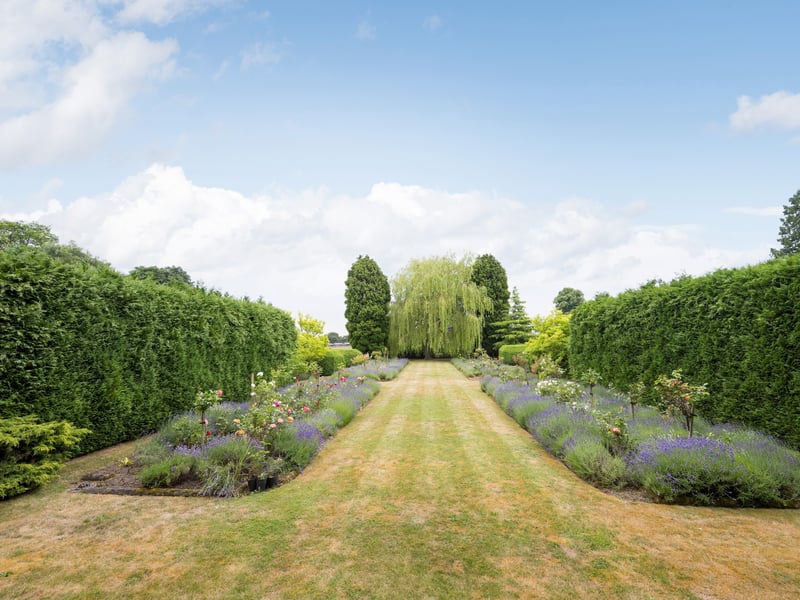 The rear garden 