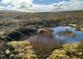 "Can using fire help protect our beautiful heather moors?", writes Amanda Anderson, director of the Moorland Association