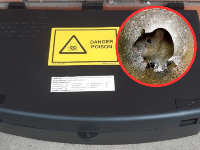 Rotherham Metropolitan Borough Council will place poison boxes in gardens in Eastwood to combat a rat infestation. (Photos courtesy of RMBC and Getty Images)