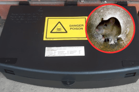 Rotherham Metropolitan Borough Council will place poison boxes in gardens in Eastwood to combat a rat infestation. (Photos courtesy of RMBC and Getty Images)