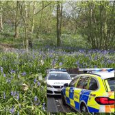 A family was robbed during a dog walk in Treeton woods