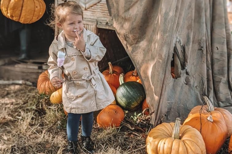 Children of all ages can join in the fun at the pumpkin picking festival
