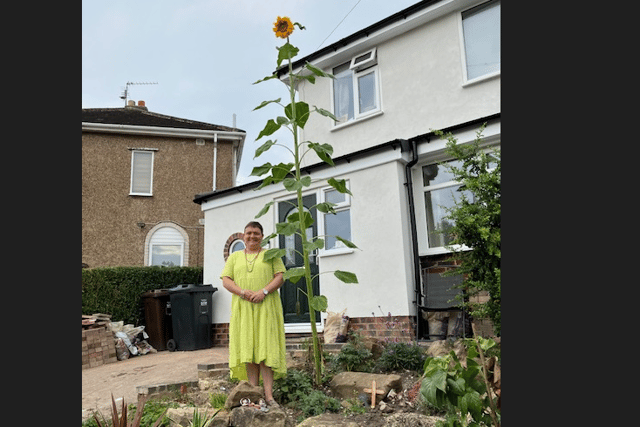 Jo Siddall reckons the towering bloom could be 12ft tall.