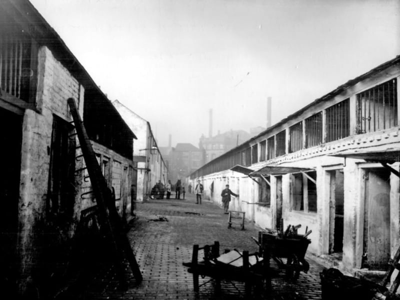 Shambles Wholesale Meat Market and Slaughter Houses, situated beside the River Don, in 1901, at what is today Castlegate, Sheffield. Photo: Picture Sheffield