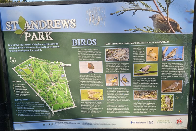 Located near the corner made by Sommerville Road and Maurice Road, this information board informs about the different bird species found in the park including robins, great tits, blackcaps and sparrowhawks.