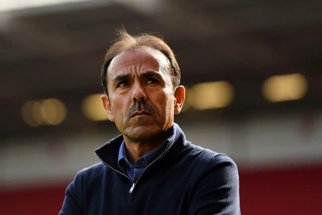 Jos Luhukay managing Sheffield Wednesday in a Championship match against Bristol City 
