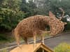 Heeley City Farm: Sheffield farm unveils new community sculpture inspired by one of their own goats