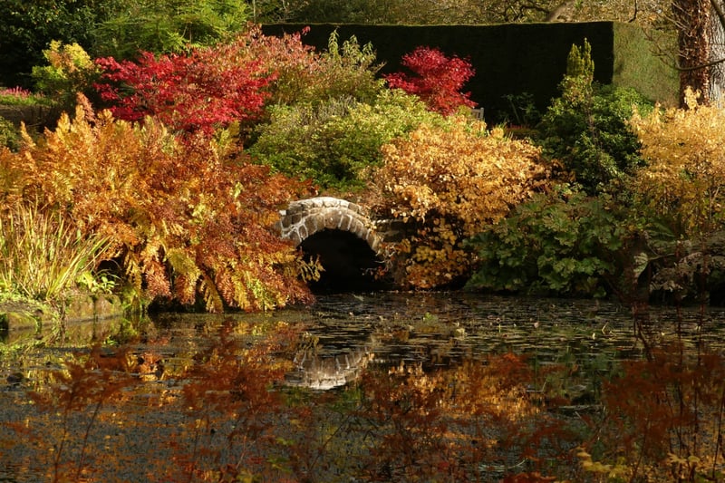 Ness Botanic Gardens is home to 64 acres of diverse landscapes and plants filled with wildlife. It is open every day from 10:00-16:30 and £7.50 for an adult ticket without gift aid. The huge gardens are perfect for an autumn walk and a range of seasonal activities are hosted too.