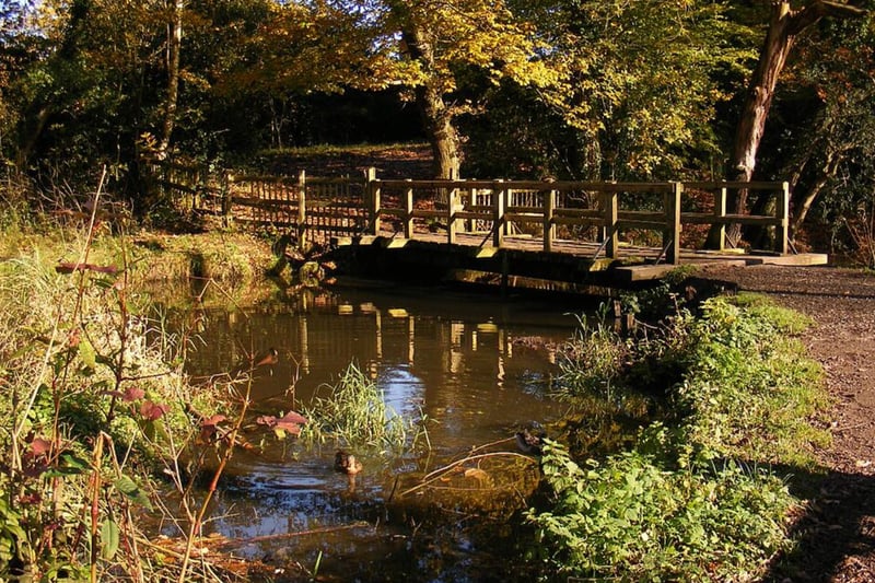 Brotherton Park and Dibbinsdale Local Nature Reserve features a visitor centre, walled gardens, historic parkland and an ancient woodland. The  54 hectare site is situated in a river valley and looks beautiful as the brown leaves begin to fall.