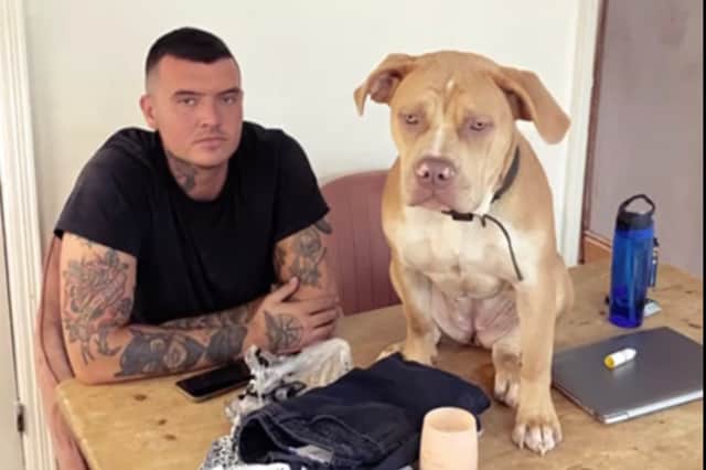 Liam Cousins, with Luna, one of two XL Bully dogs he owns, which he describes as the most loving dogs he has had. He would like to see dog licences brought back. PIcture: Liam Cousins
