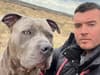 XL bully Sheffield: 'My XL bullies are loving but they should bring back dog licences to stop bad owners'