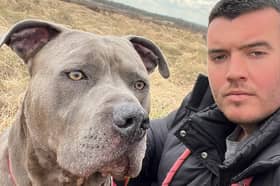 Liam Cousins, with Kobi, one of two XL Bully dogs he owns, which he describes as the most loving dogs he has had. He would like to see dog licences brought back.