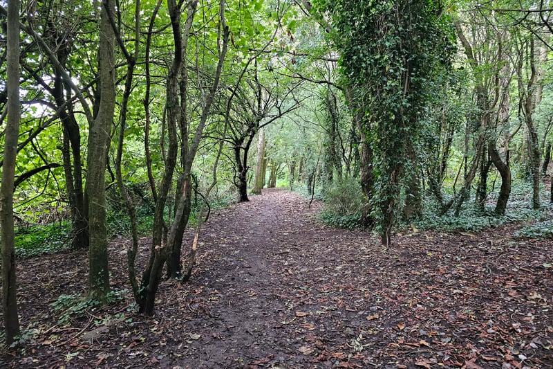 Visitors can enjoy a serene walk across the woodlands in Troopers Hill. Be warned, the dirt paths can become slippery when it rains, there are some steps and the paths are not always levelled.