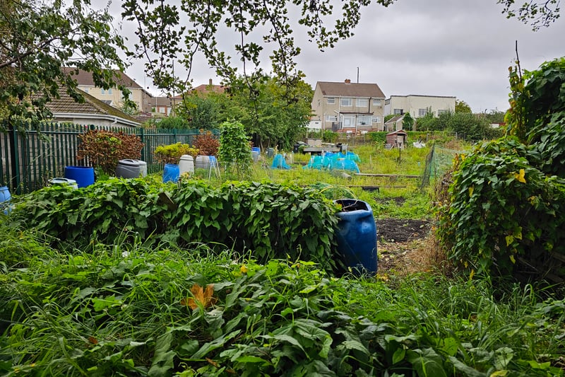 A large area of allotments can be found by Troopers Hill Field.