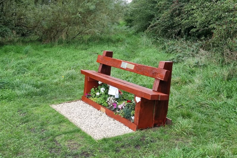 In the corner of the field, at the memorial bench to ‘Shirl the Whirl’, follow the track behind it, between the hedge and the trees, until it meets a bridle path, where you turn right.