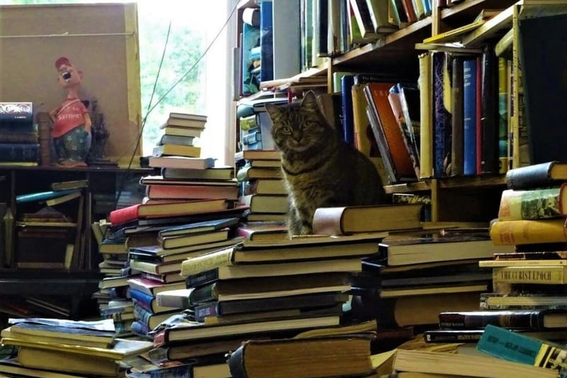 Voltaire and Rousseau is as bohemian as it comes in Glasgow - you can pore through thousands of rare second-hand books manuscripts, maps, records and ‘hundreds of curiosities from Scotland’s past’ on Otago Lane. There’s even a resident cat!