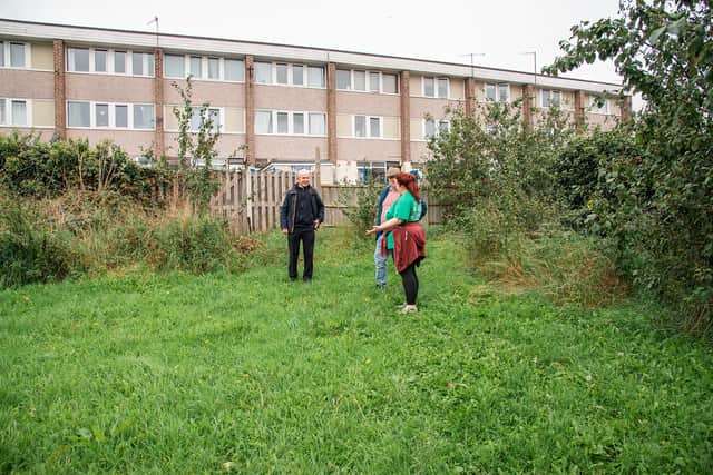 Toby Mallinson, John Otley from Seacroft Forest Garden in Leeds and Linda Bloomfield from RivelinCo on the potential site of the Community Garden