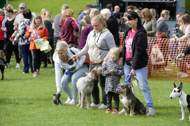 Thornberry Animal Sanctuary's Pooches in the Park is returning to Millhouses Park this weekend.