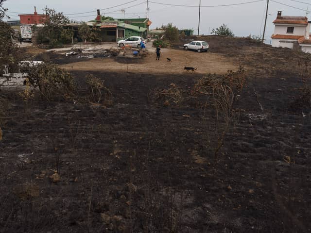Thousands of people have been evacuated from the island of Tenerife as wildfires spread throughout the island. (Credit: Getty Images)