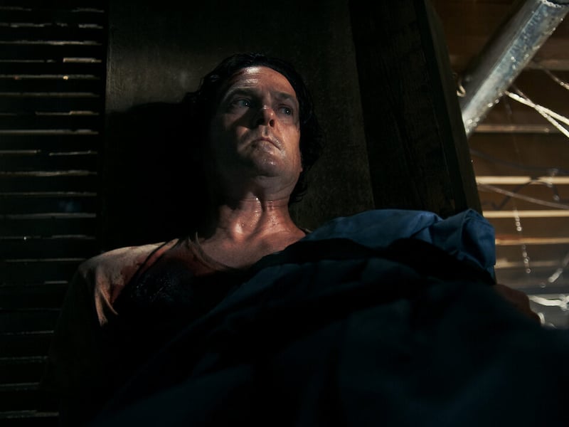 When a plumber witnesses two men commit a brutal murder in a small remote cabin, he finds himself stuck in a crawlspace that will either become his tomb - or his hideout.