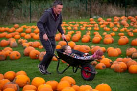 Gulliver's Valley's new pumpkin patch will be open each weekend and then the full week leading up to Halloween. 