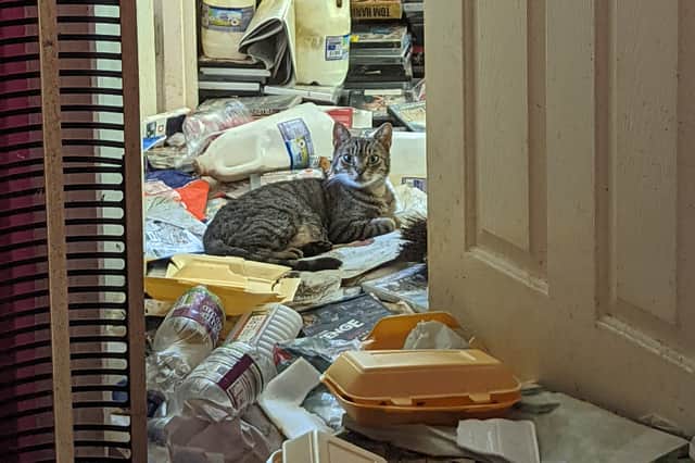 Sara Whitton, aged 52, has been banned from keeping animals after police and RSPCA raided her flat on Lupton Walk, Lowedges, and found her keeping cats in a property which was covered in poo, decaying food and rubbish, pictured. Photo: RSPCA