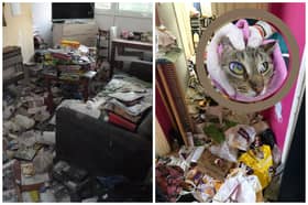 Sara Whitton, aged 52, has been banned from keeping animals after police and RSPCA raided her flat on Lupton Walk, Lowedges, and found her keeping cats in a property which was covered in poo, decaying food and rubbish, pictured. Photo: RSPCA