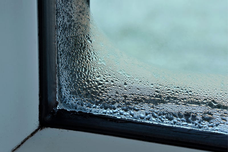 Condensation on windows is a normal nuisance for most homes, but lots of condensation, constantly, all-year-round, can be suspect. Cannabis plants need a greenhouse like environment to grow. Look out for condensation on the windows, especially in the summer months. Photo by GettyImages.