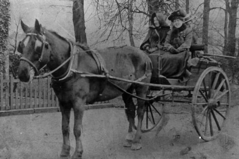 Other modes of transport before the likes of so-called ‘motor vehicles’ included the dog cart (drawn by a horse, we promise the animal pictured isn’t just a big dog) which had two wheels, space for 4 passengers, and a whopping 1 horsepower.
