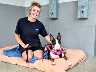 The RSPCA in Sheffield is seeking to recruit a number of volunteers, including cat cuddlers and dog petters