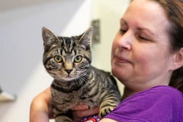 The RSPCA in Sheffield is seeking to recruit a number of volunteers, including cat cuddlers and dog petters