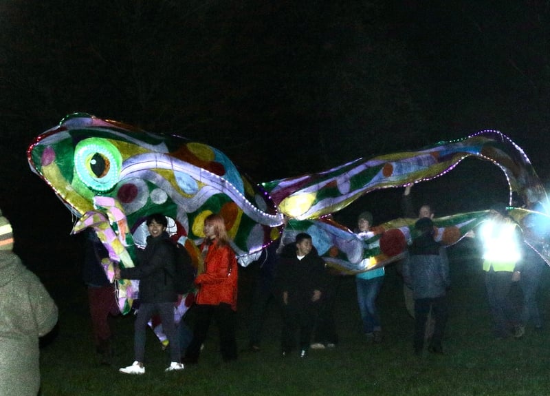 The Parkwood Springs Lantern Procession through Sheffield attracted huge crowds, and there were some spectacular creations lighting up the night sky, like this frog. Photo: Penny Philcox