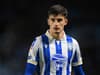 ‘If we play like that’ – Sheffield Wednesday midfielder makes prediction for Owls’ turnaround