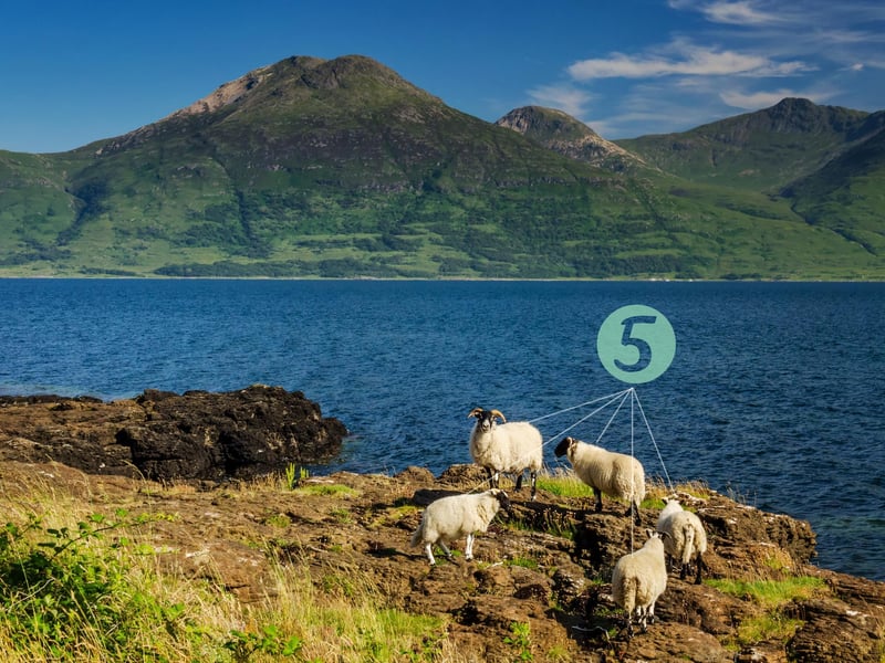 Some Gaelic speakers know it as “A' Mhàigh” for Maia; a Greek goddess who May is named after. The month also goes by “An Cèitean” in the Gregorian Calendar which makes sense if we accept the idea that it comes from the word for five. Others believe it comes from “Cètshamain” which is another term for “bealtaine” i.e., an ancient festival halfway between the Spring Equinox and Summer Solstice. May was seen as the first month of summer or “samhradh” which has the ancient Indo-European root for the sun (samh) meaning heat.