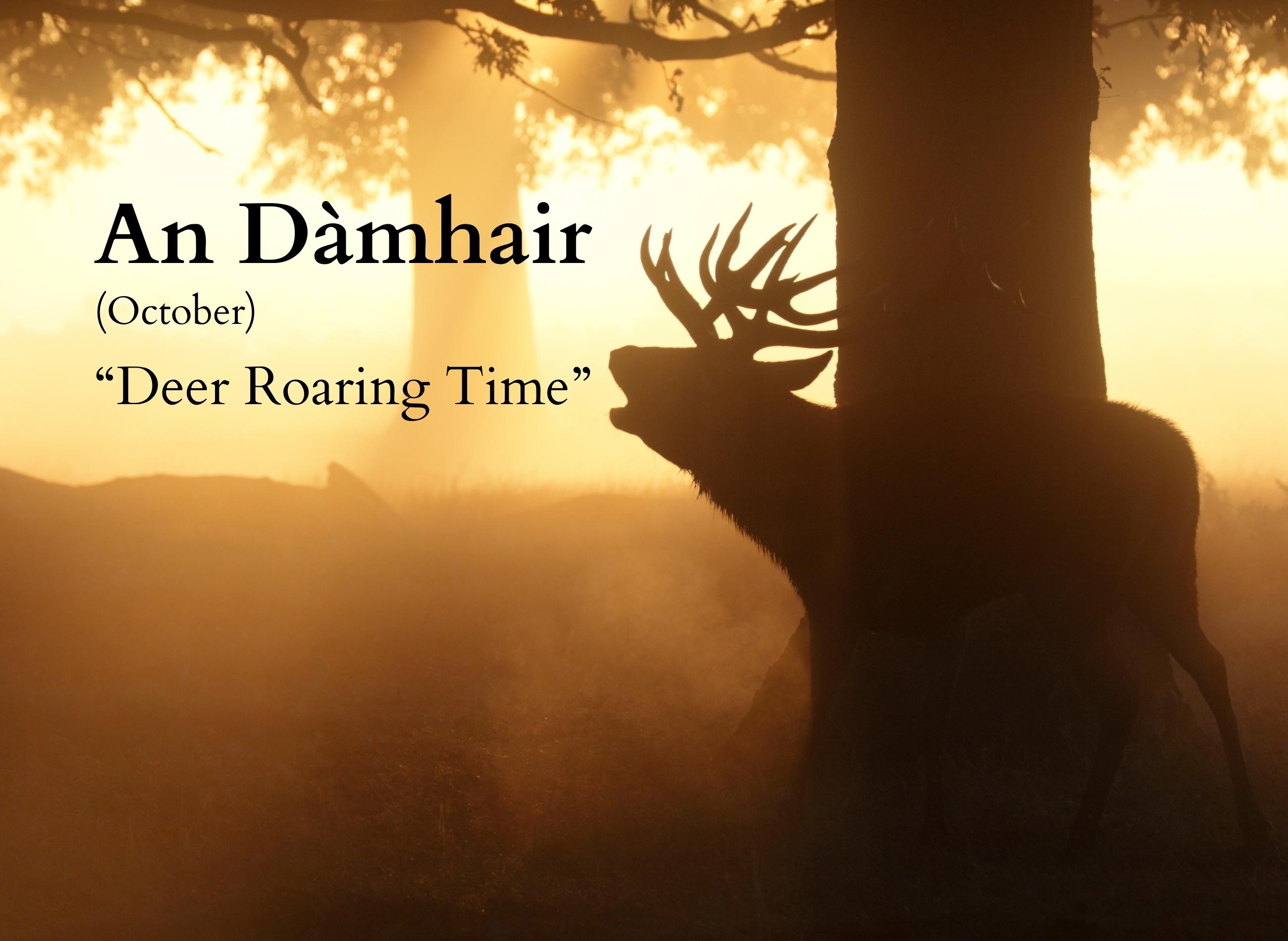 Scotland’s heritage languages hold many hidden messages that reveal insight into the natural world we live in.